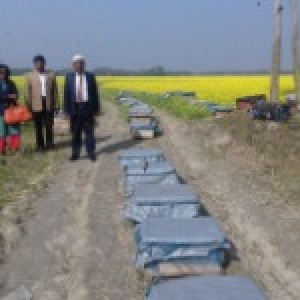 মৌ চাষ পরিদর্শন